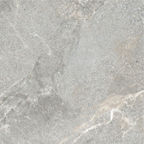 NIAGARA-21.A.880.5002